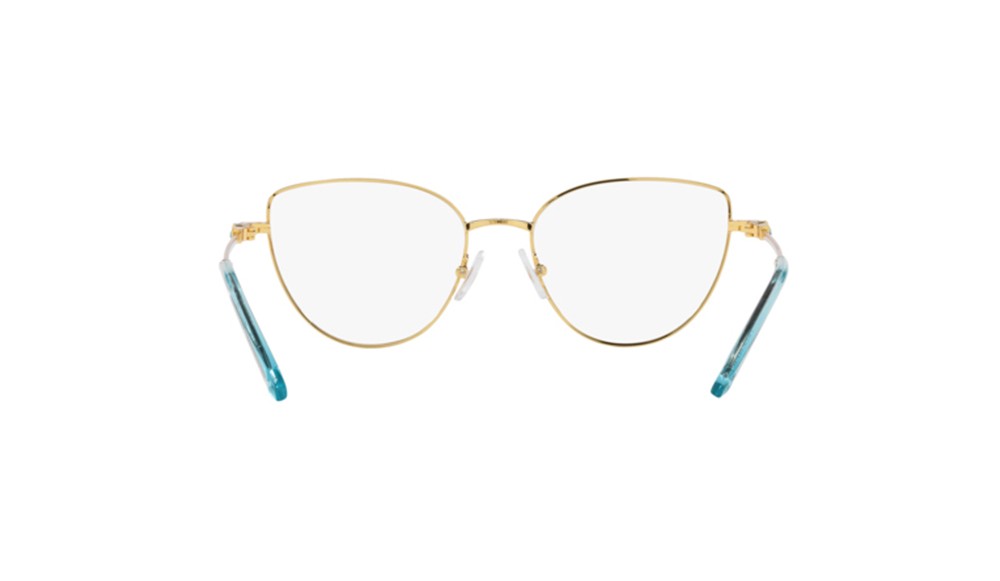  Swarovski SK1007-4021-53