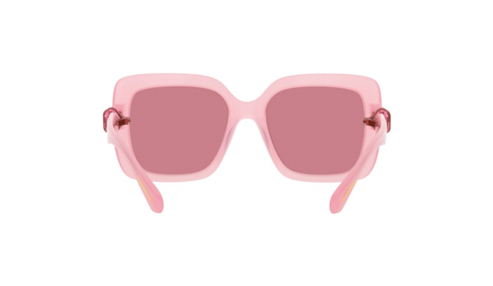 Sunglasses Swarovski SK6001-20019L
