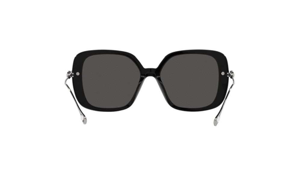 Sunglasses Swarovski SK6011-103887