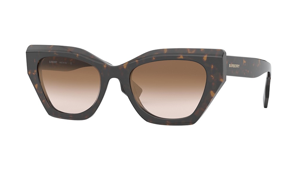 Sunglasses Burberry CRESSY BE4299-383013