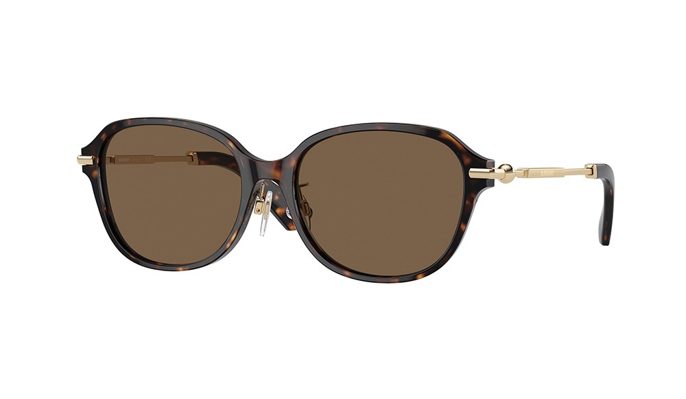 Sunglasses Burberry BE4429D-300273