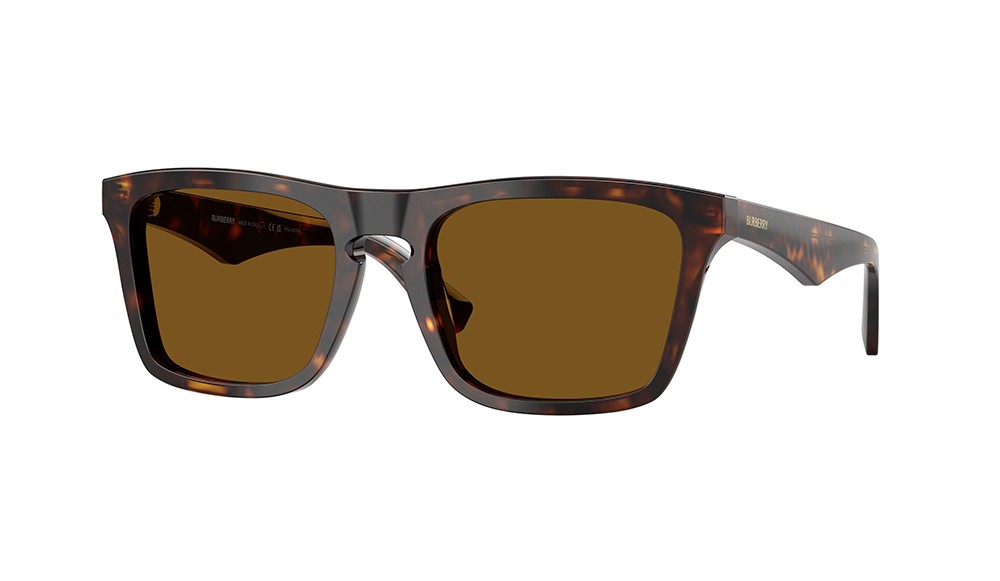 Sunglasses Burberry BE4434-300283