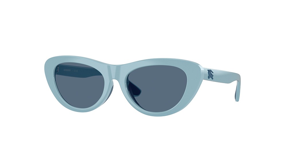 Sunglasses Burberry JB4004U-413280