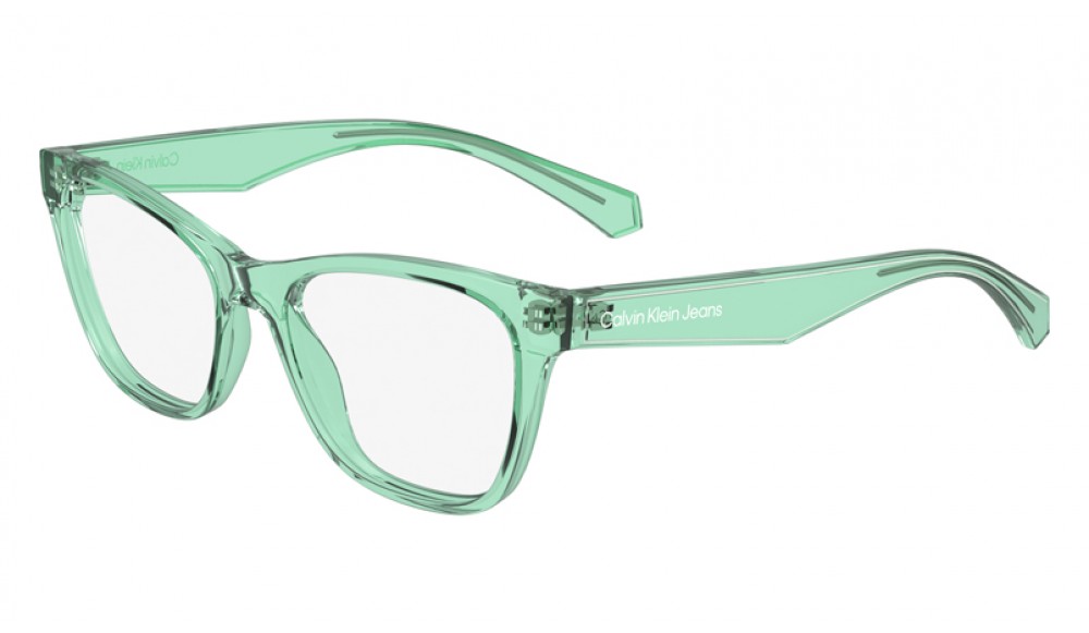  Calvin Klein CKJ24304N-300