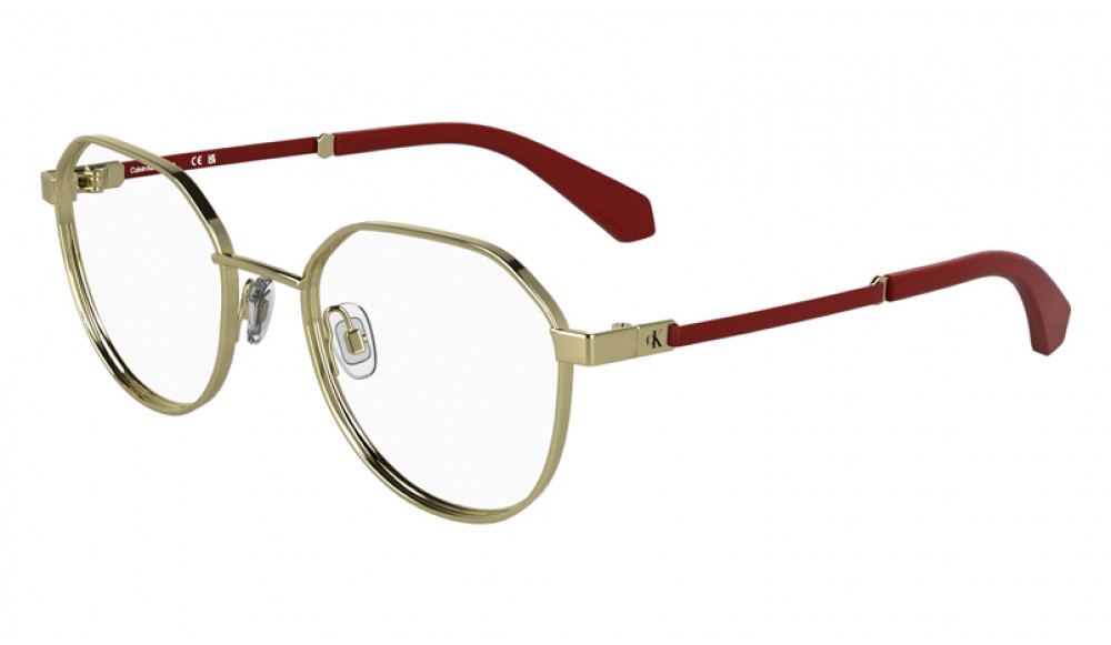  Calvin Klein CKJ25304-717