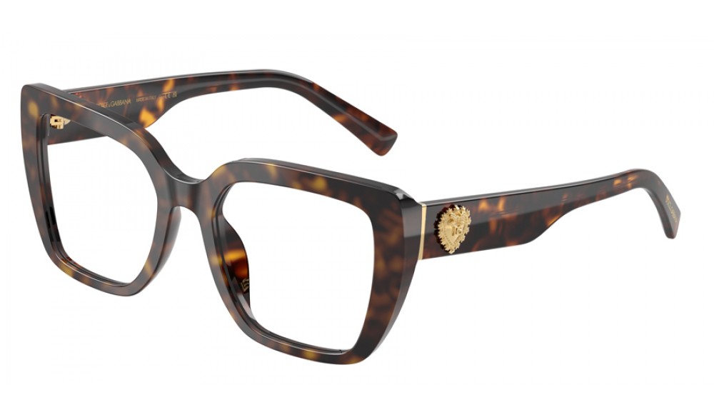  Dolce&Gabbana DG3441-502-53