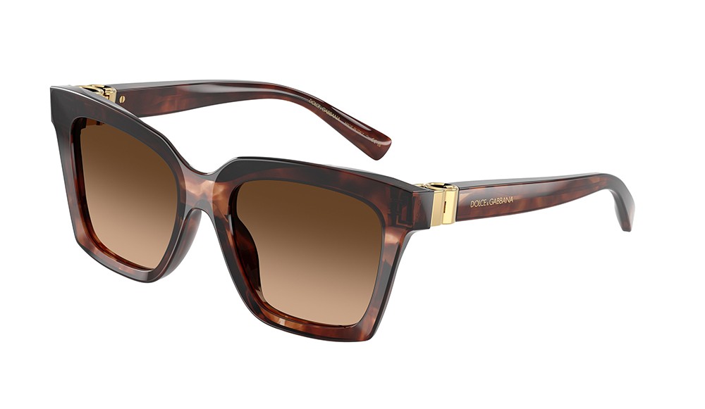 Sunglasses Dolce&Gabbana DG4498-322274