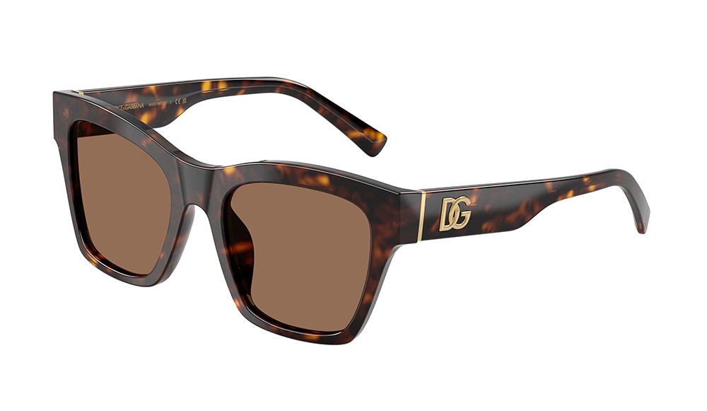 Sunglasses Dolce&Gabbana DG4512-502/73