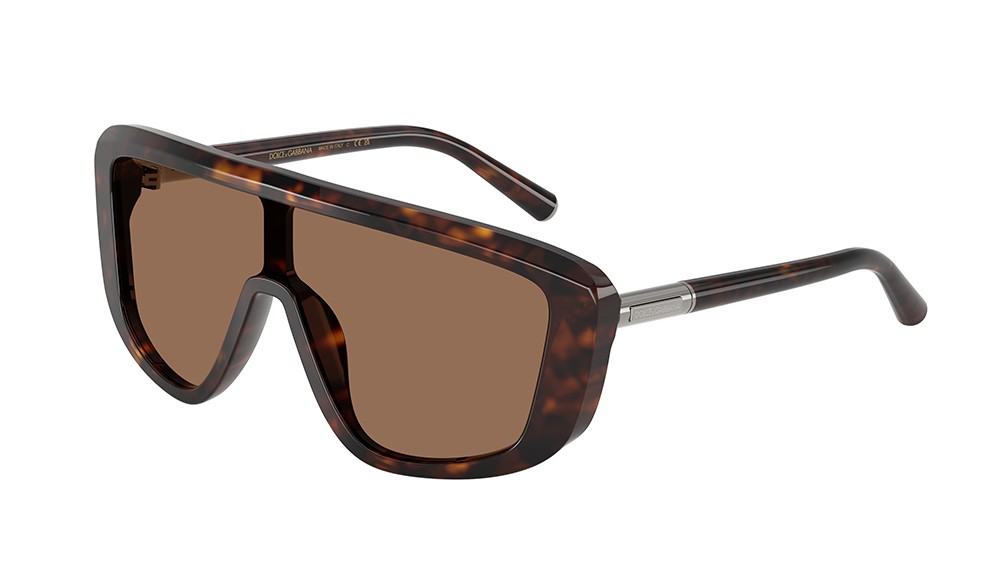 Sunglasses Dolce&Gabbana DG4520-502/73