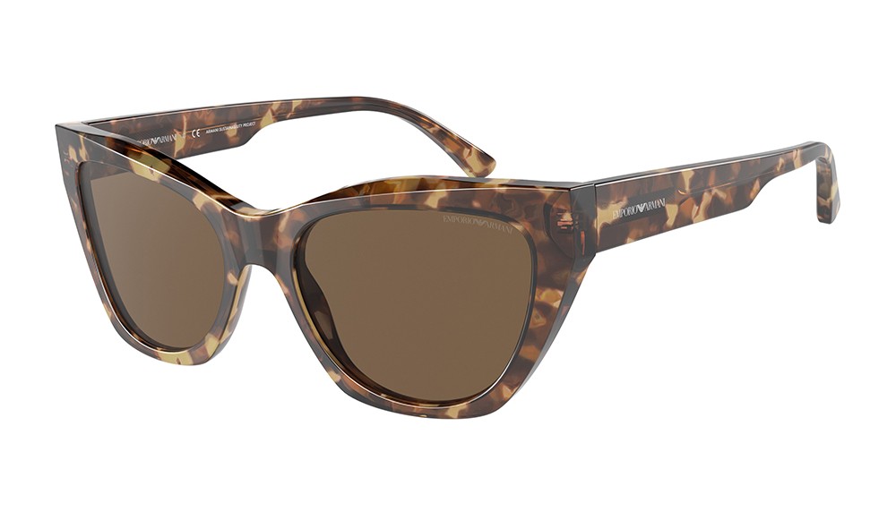 Sunglasses Emporio Armani EA4176-502573