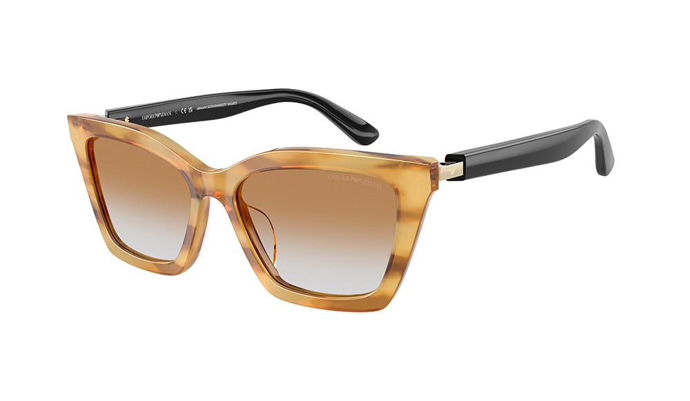 Sunglasses Emporio Armani EA4250U-62692Q