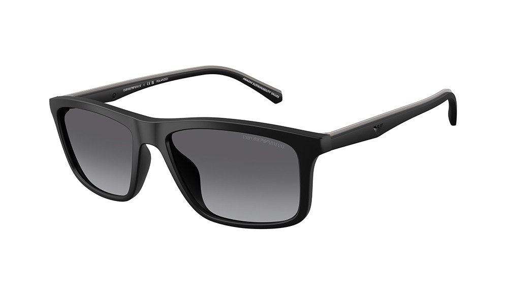 Sunglasses Emporio Armani EA4257U-500181