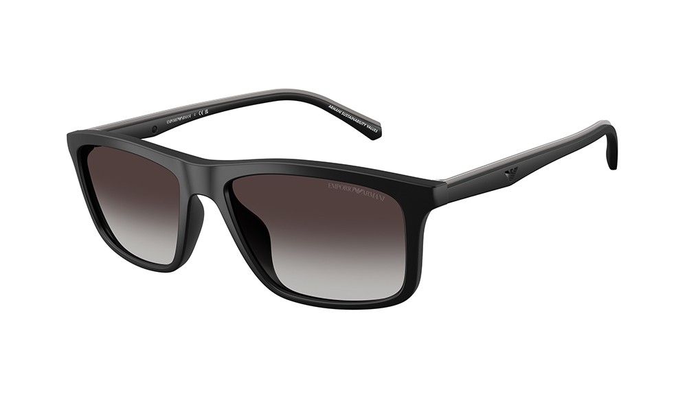 Sunglasses Emporio Armani EA4257U-50018G