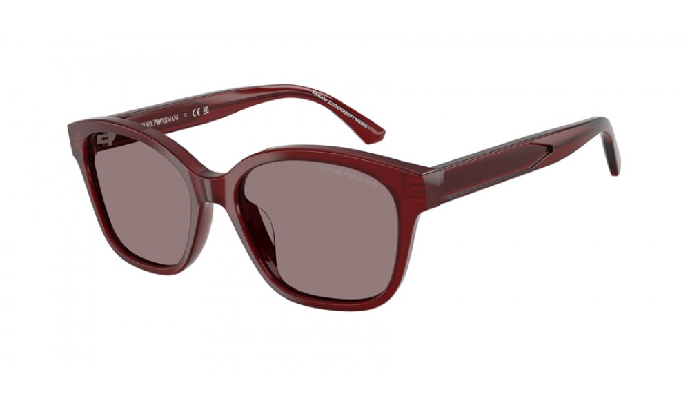 Sunglasses Emporio Armani EK4009U-63897N