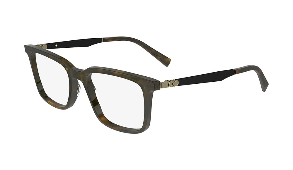  Salvatore Ferragamo SF2969-242