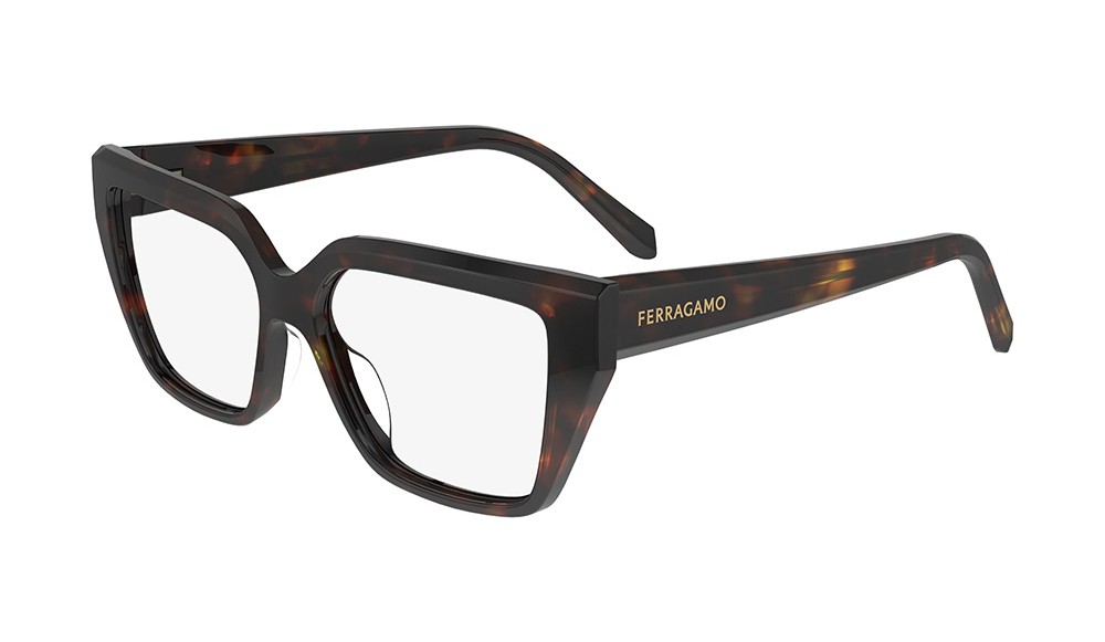  Salvatore Ferragamo SF2971-242