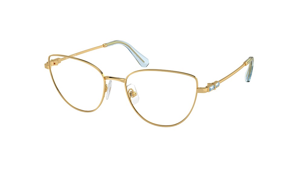  Swarovski SK1007-4021-53