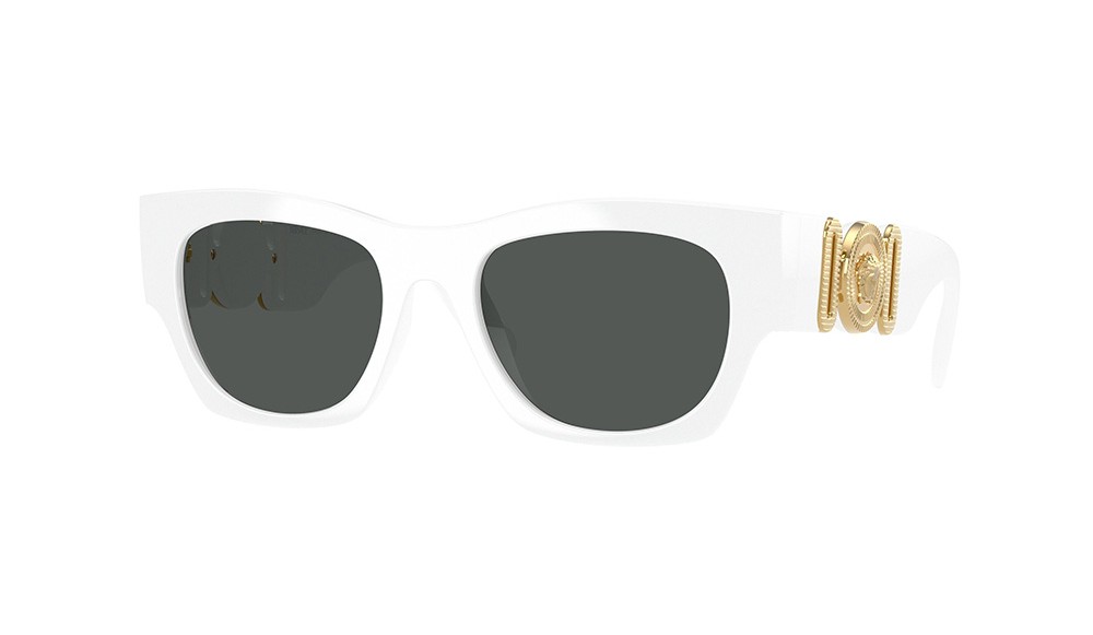 Sunglasses Versace VE4479U-314/87