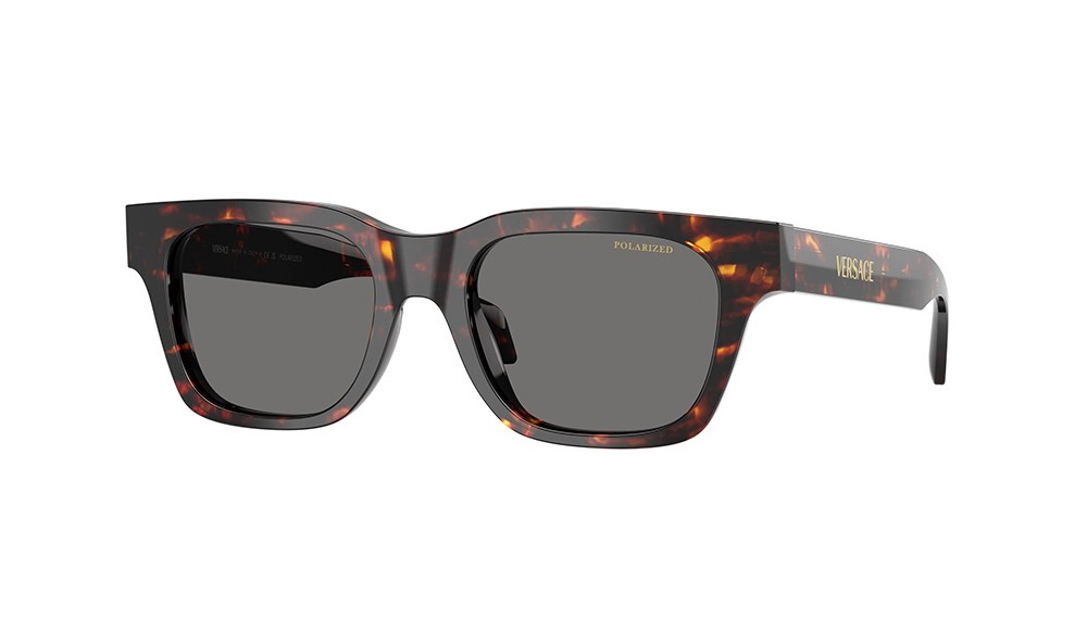 Sunglasses Versace VE4486-550981
