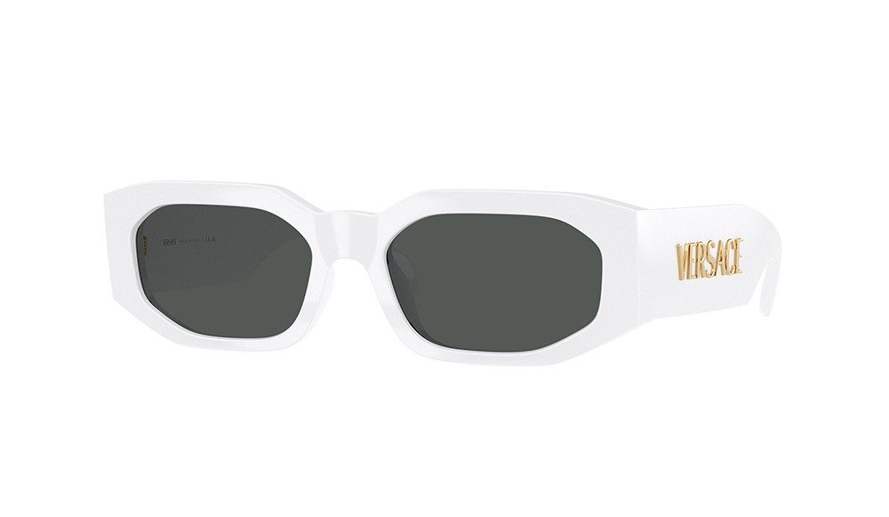 Sunglasses Versace VE4489U-314/87