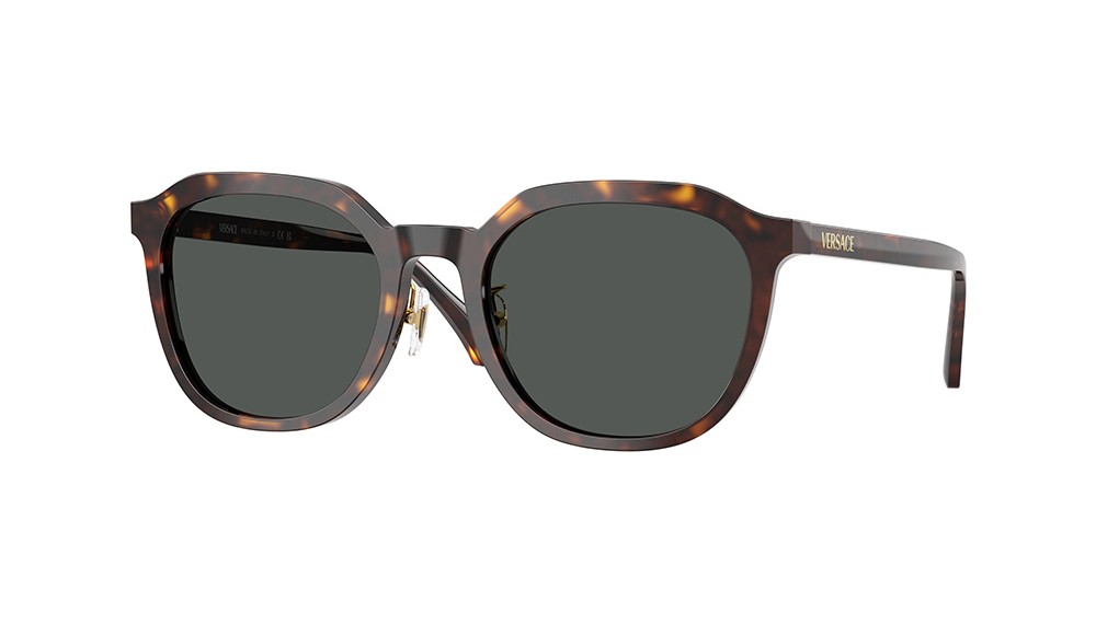 Sunglasses Versace VE4493D-108/87