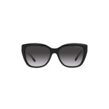 Sunglasses Emporio Armani EA4198-50178G