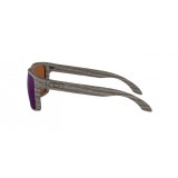  Oakley Holbrook OO9102-9102J8