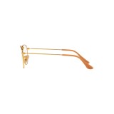  Ray-Ban Elon RX3958V-3086-47
