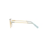  Swarovski SK1007-4021-53