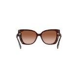Sunglasses Burberry BE4393-405313